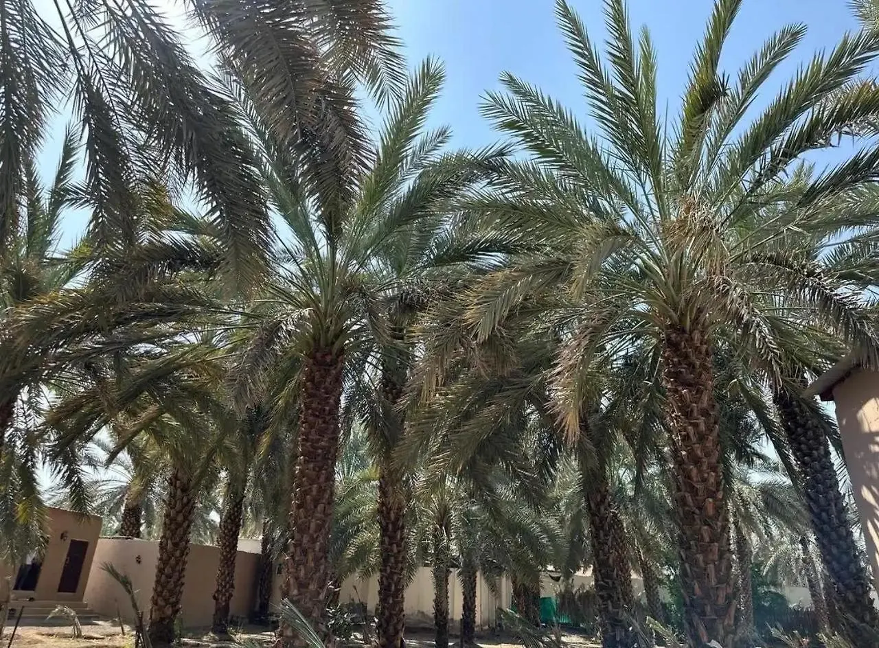 Semesterbostad Fz Farm House Medina Saudiarabien
